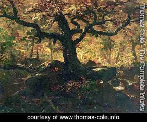 Thomas Cole - Tree in the Catskills