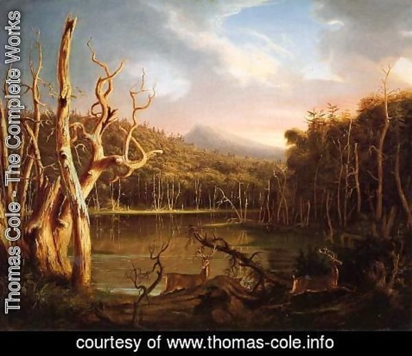 Thomas Cole - Lake with Dead Trees
