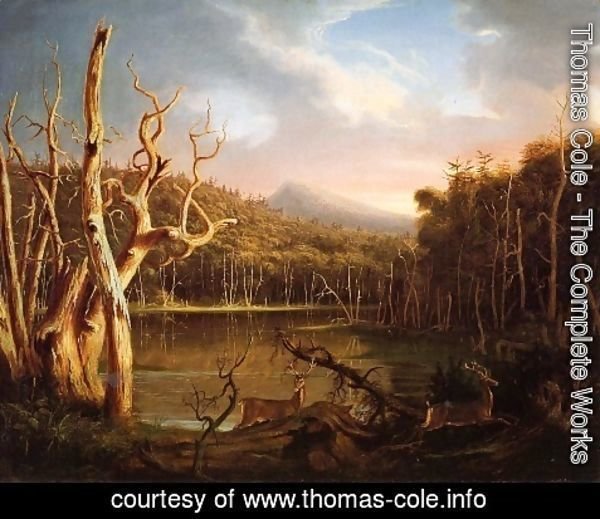 Thomas Cole - Lake with Dead Trees (Catskill)